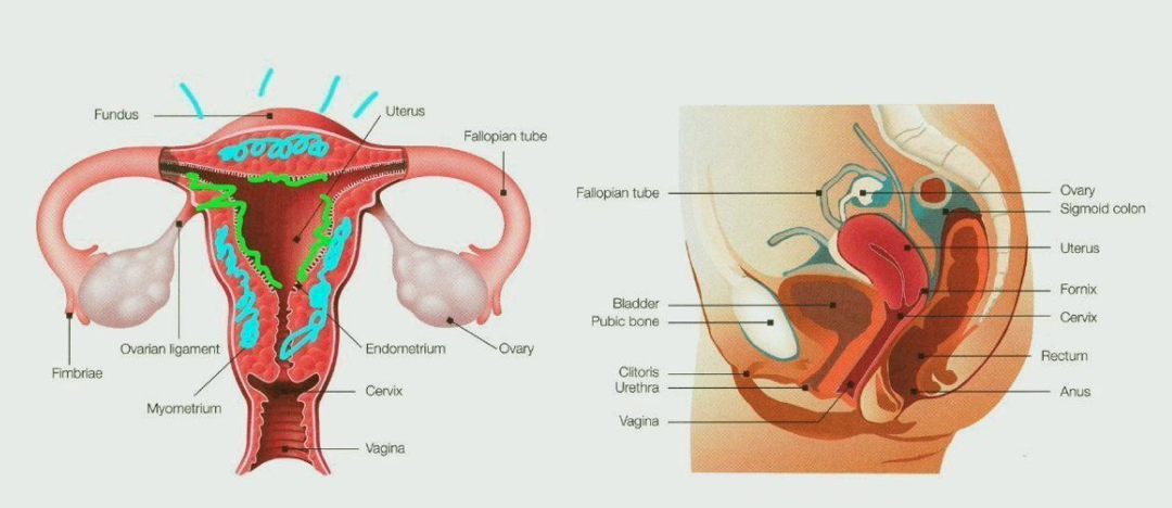 Sonia Grover Talks Menstruation for International Women’s Day