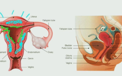 Sonia Grover Talks Menstruation for International Women’s Day